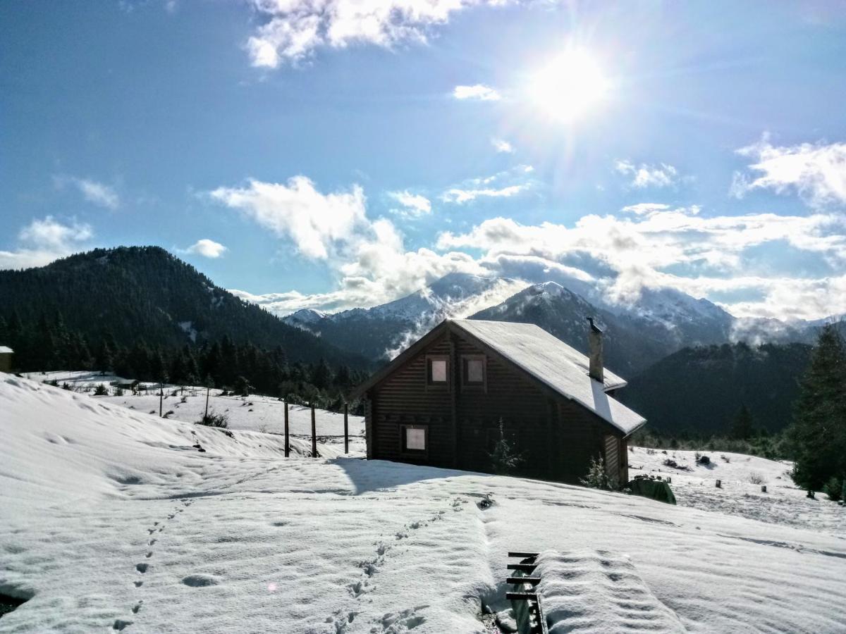 Katafygio Chalet, Krikello Kríkellon المظهر الخارجي الصورة