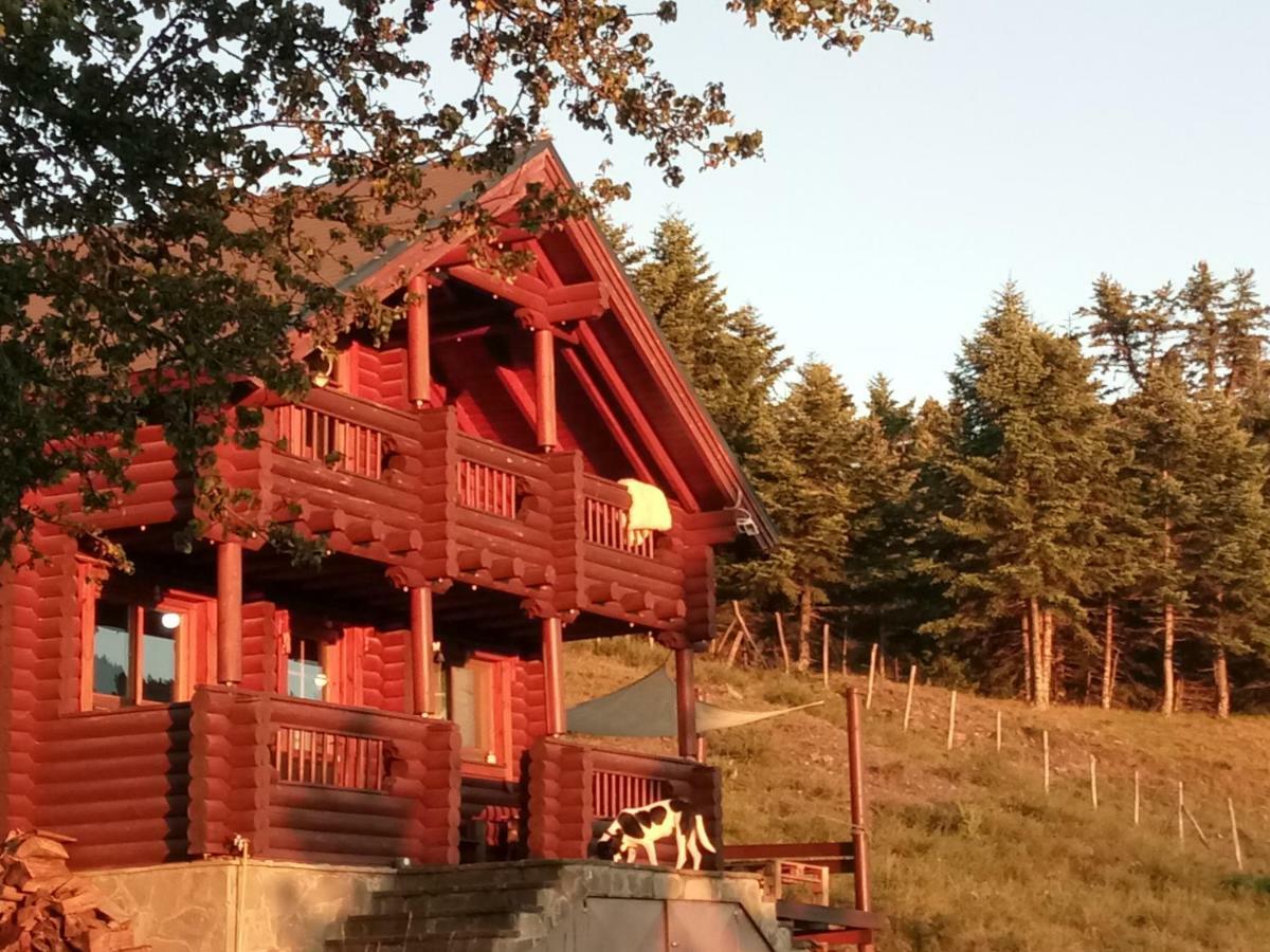 Katafygio Chalet, Krikello Kríkellon المظهر الخارجي الصورة
